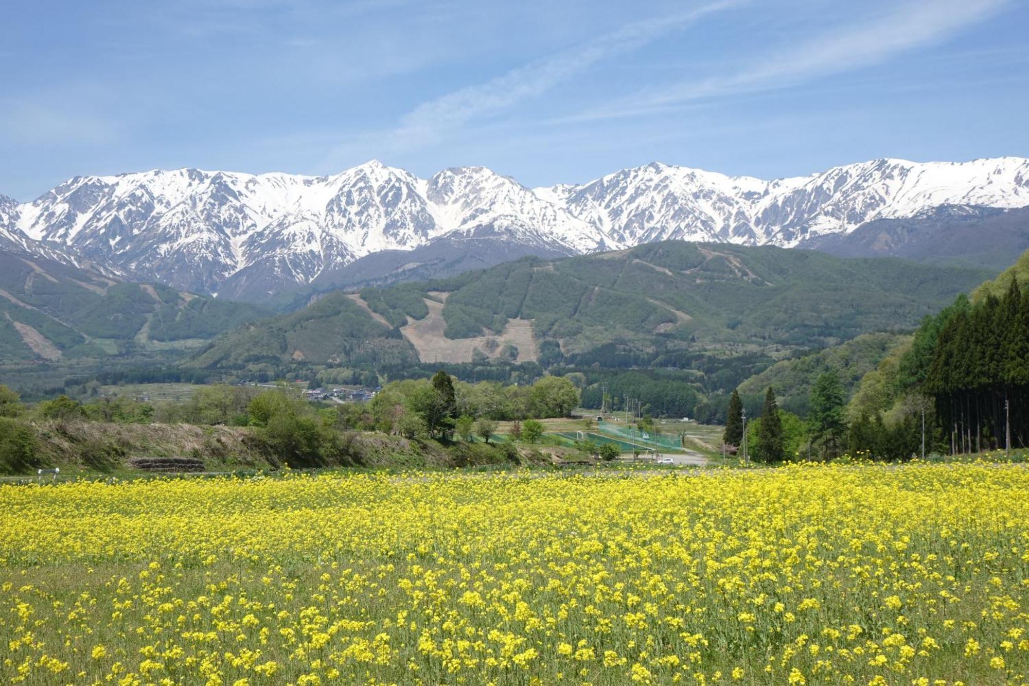Country Inn Kashiwabara Хакуба Екстер'єр фото